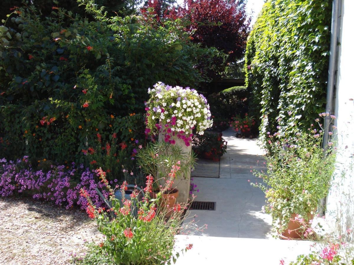 Guestroom Villentrois-Faverolles-En-Berry, 1 Piece, 2 Personnes - Fr-1-591-474 エクステリア 写真